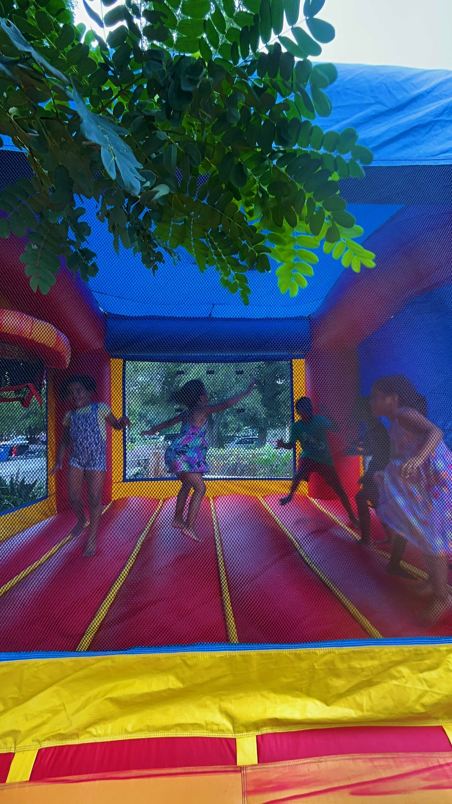 Classic Fun Package - Image 4